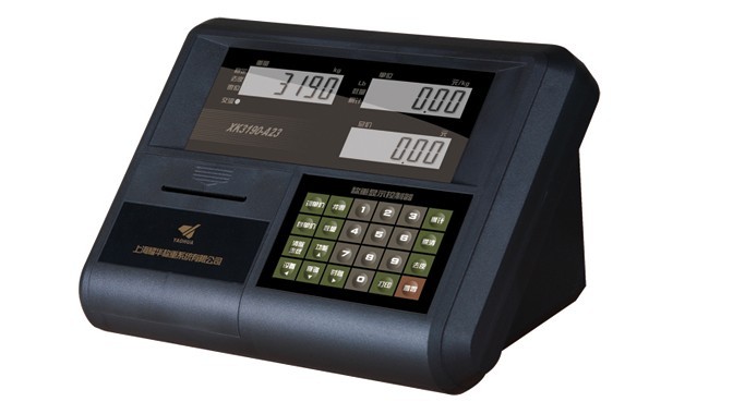 XK3190-A23P打印仪表